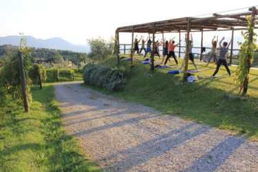 Outdoor Yoga Platform overlooking vineyards and olive groves at Il Borghino