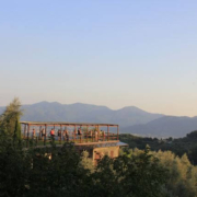 Yoga shala overlooking olive groves and vineyards