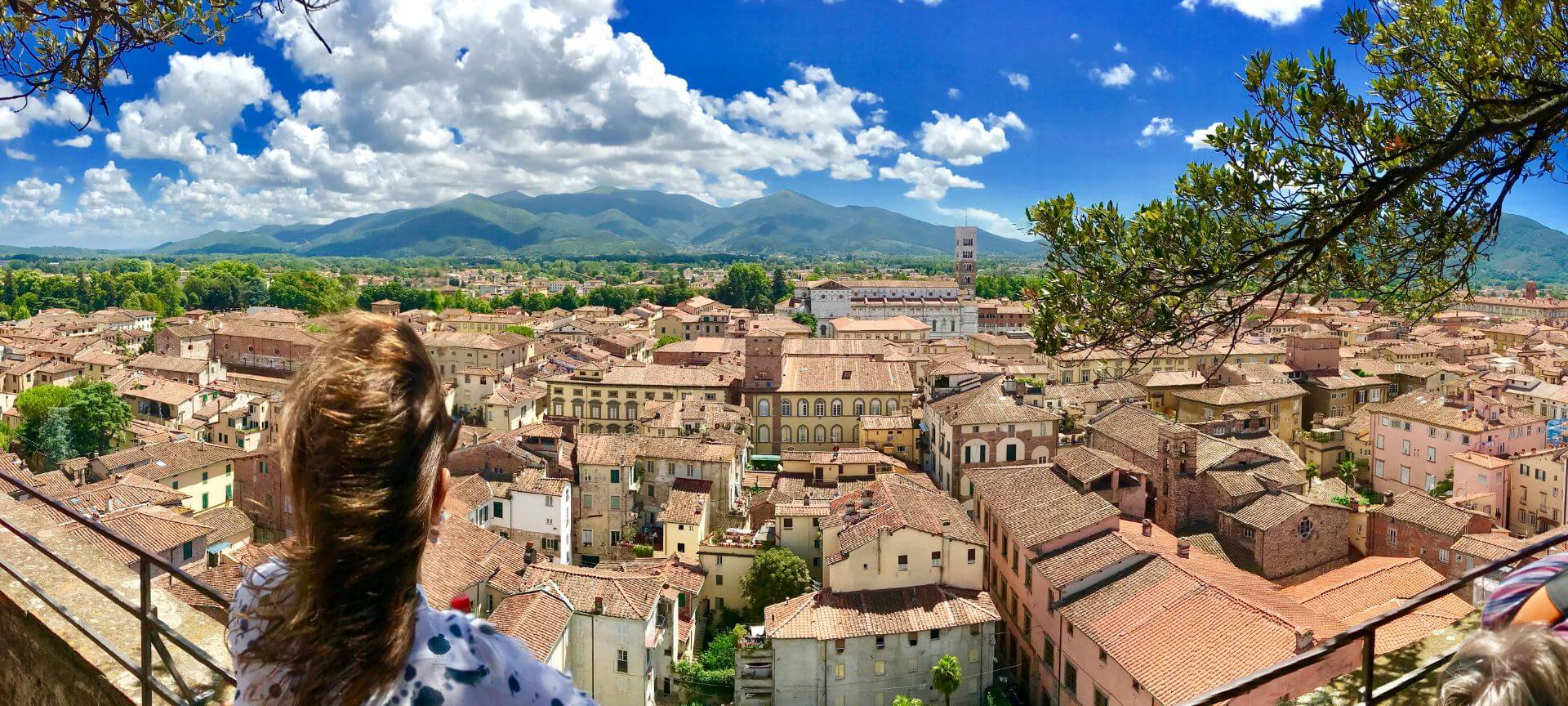 Lucca Excursion - view from Torre Guinigi